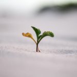 Growing Faith through Natural Laws